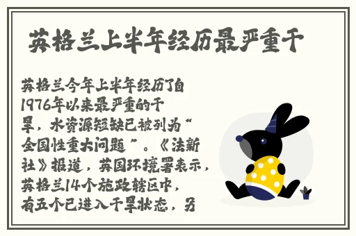黄页网站推广免费